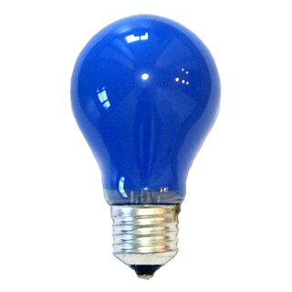 Incandescent Bulb 25W E27 BLUE