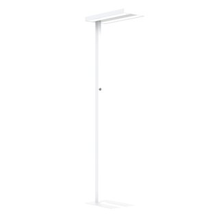 LED Floor Lamp Lara Up & Down 80W white RAL9006 UGR<17...