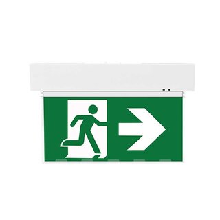 LED Emergency Light Wall & Ceiling Mount 5.5W Continuous Light with 4 Pictograms & Replaceable Battery