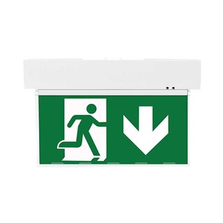 LED Emergency Light Wall & Ceiling Mount 5.5W Continuous Light with 4 Pictograms & Replaceable Battery